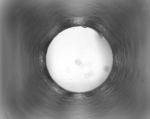 X0000051910424200507222113