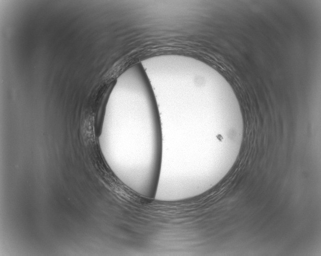 X0000051910425200507222113