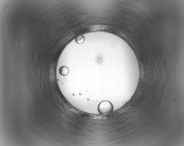 X0000051910426200507222113