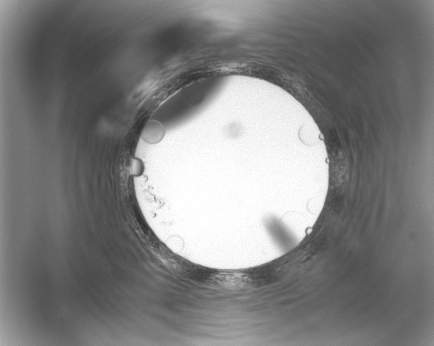 X0000051910427200507222113