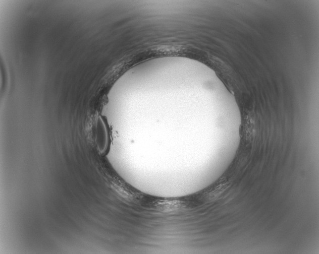 X0000051910428200507222113