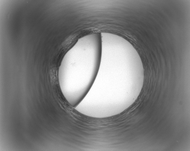 X0000051910429200507222113