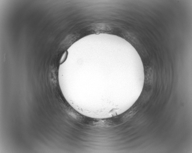 X0000051910430200507222113