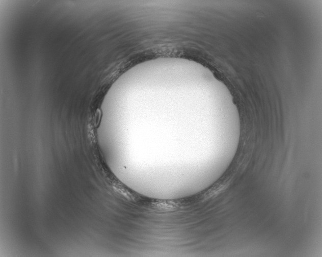 X0000051910432200507222113