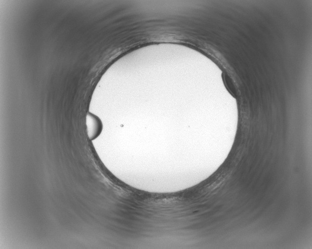 X0000051910433200507222112