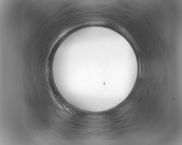 X0000051910435200507222112