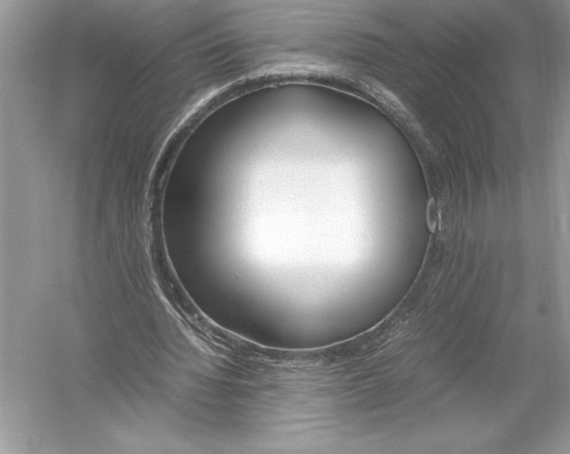 X0000051910436200507222112