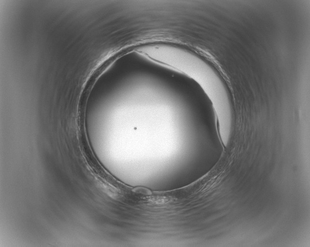 X0000051910439200507222112