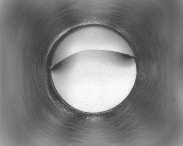 X0000051910440200507222112