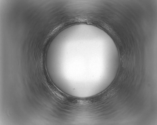 X0000051910442200507222112