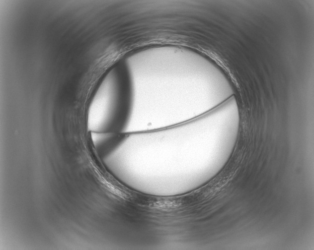 X0000051910445200507222112