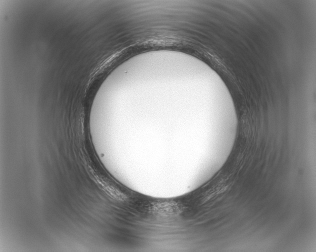 X0000051910446200507222112