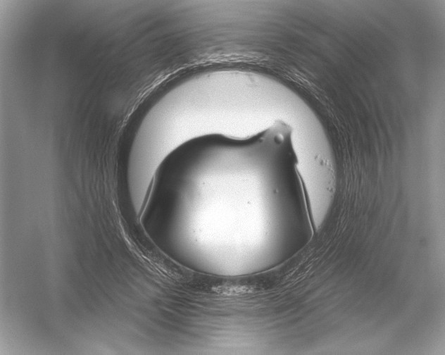 X0000051910448200507222112