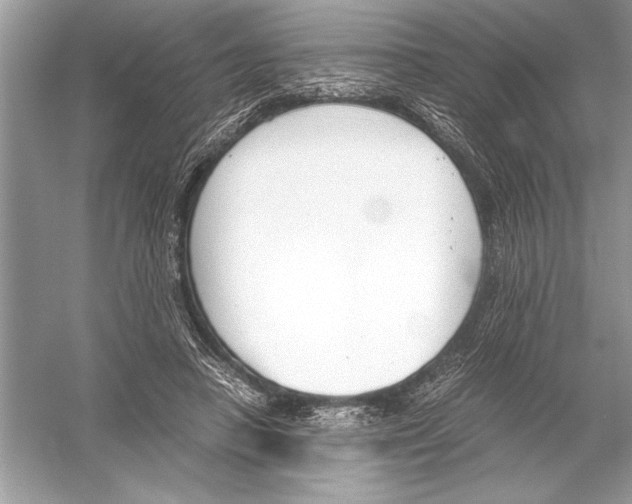 X0000051910450200507222112