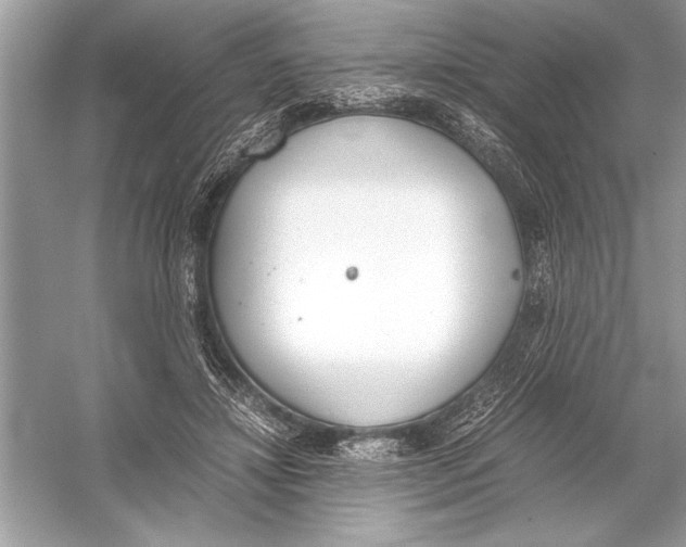 X0000051910452200507222112