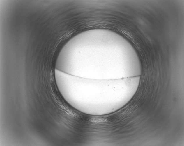 X0000051910453200507222112