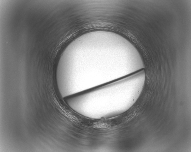 X0000051910454200507222112