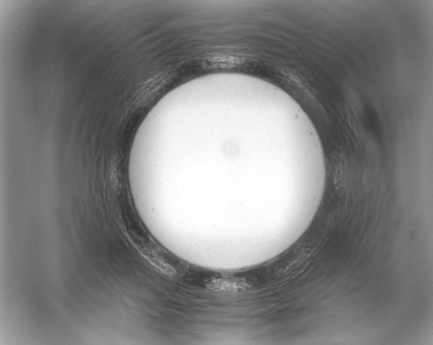 X0000051910455200507222112