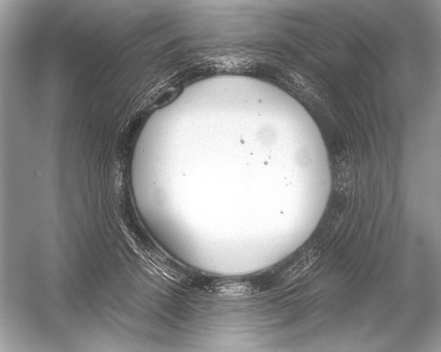 X0000051910456200507222112