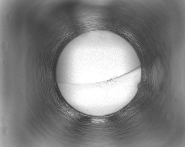 X0000051910457200507222112