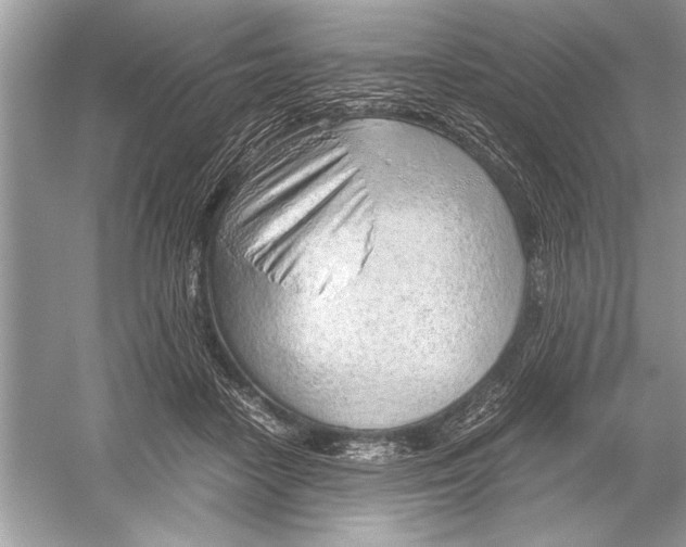 X0000051910458200507222113