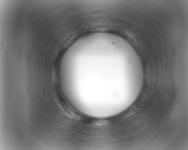 X0000051910459200507222113