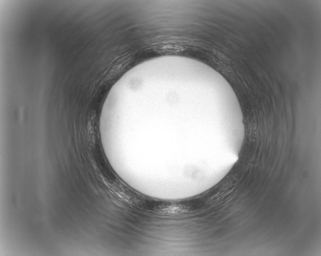 X0000051910460200507222113