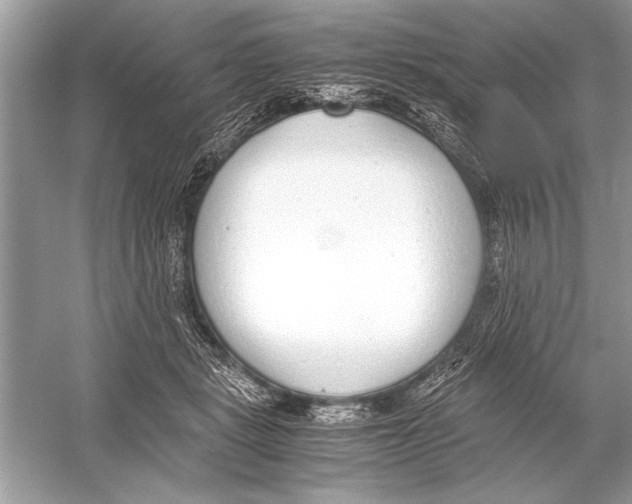 X0000051910461200507222113