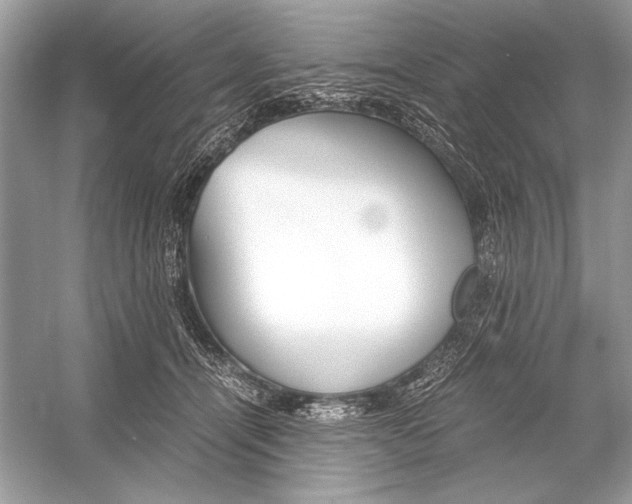 X0000051910464200507222113