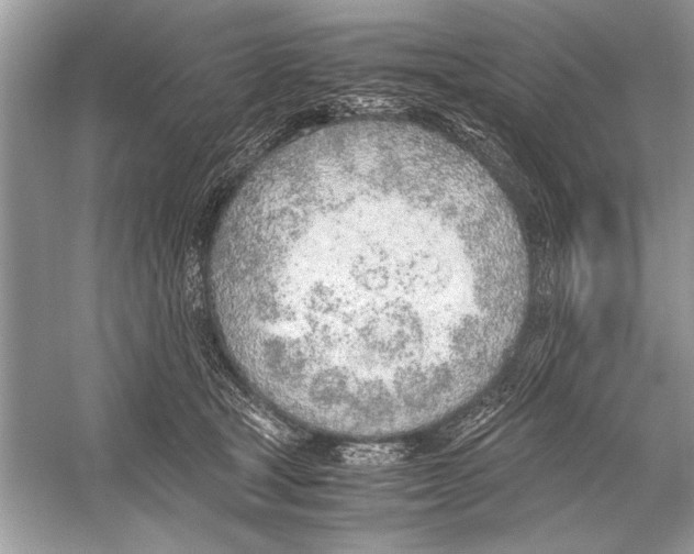 X0000051910465200507222113