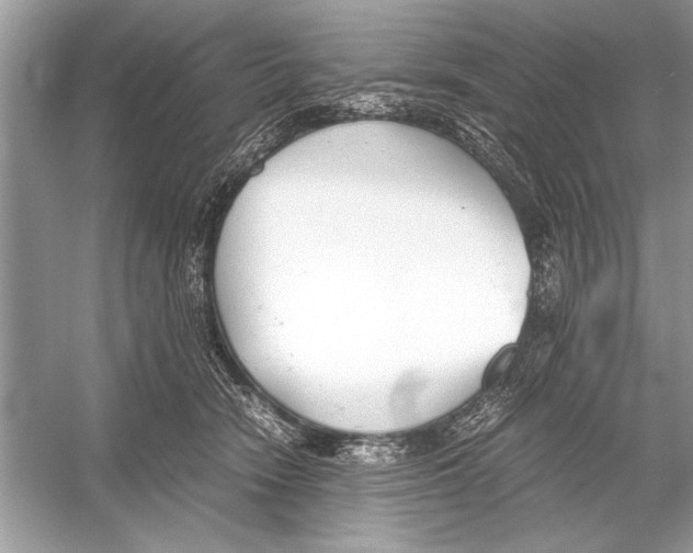 X0000051910466200507222113