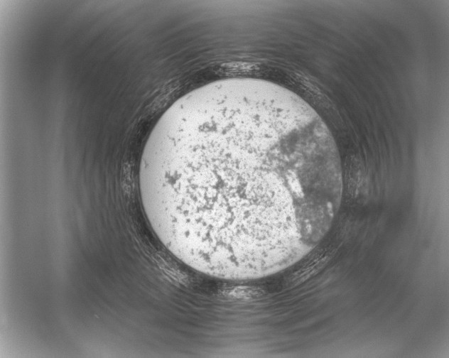 X0000051910467200507222113