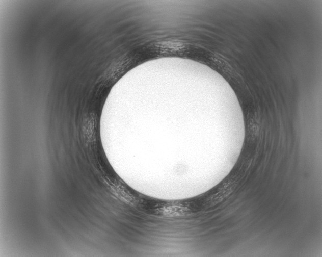 X0000051910468200507222113