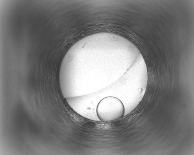 X0000051910469200507222113