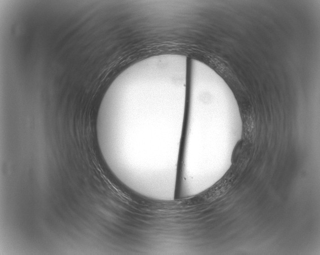 X0000051910470200507222113