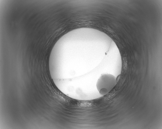 X0000051910471200507222113