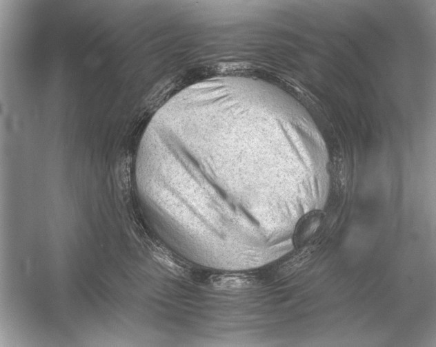 X0000051910475200507222113