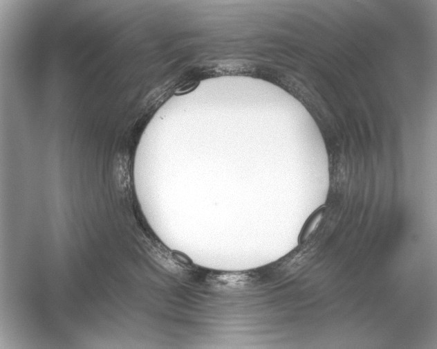 X0000051910478200507222113