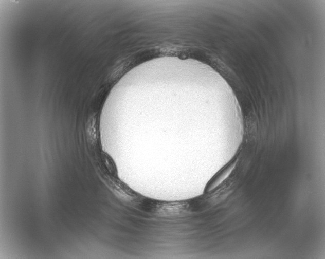 X0000051910479200507222113