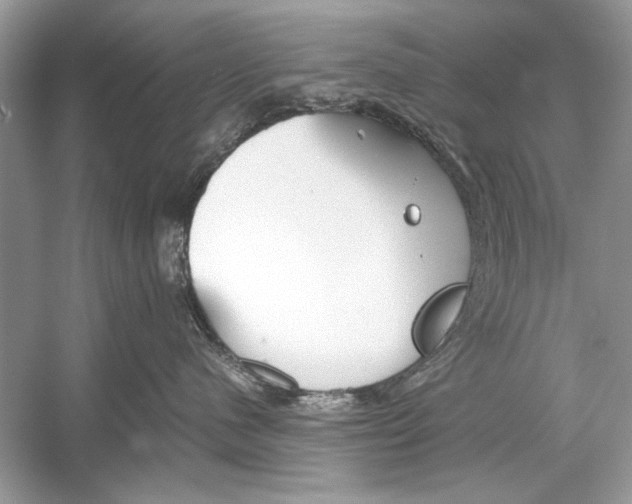 X0000051910480200507222113