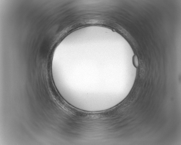 X0000051910482200507222112