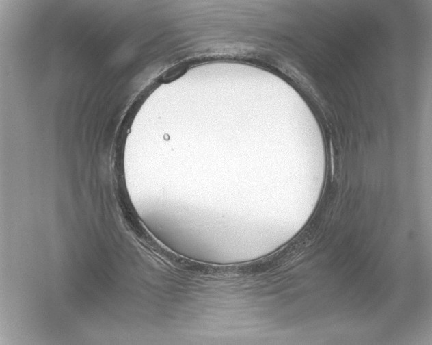 X0000051910483200507222112