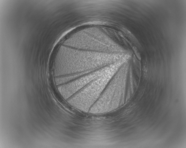 X0000051910484200507222112