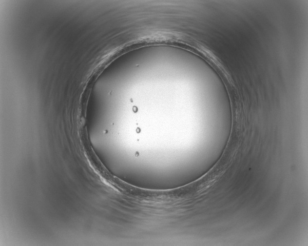 X0000051910485200507222112