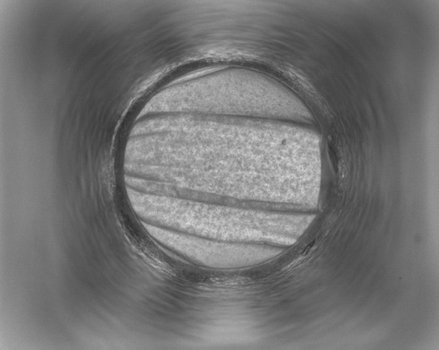 X0000051910488200507222112