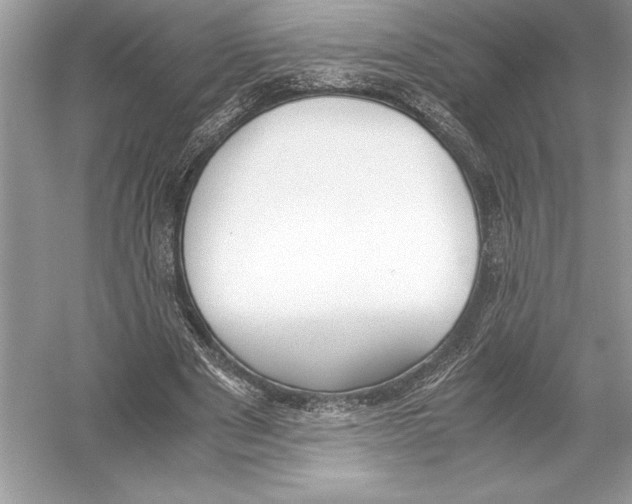 X0000051910489200507222112