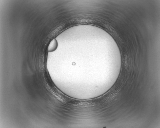 X0000051910490200507222112