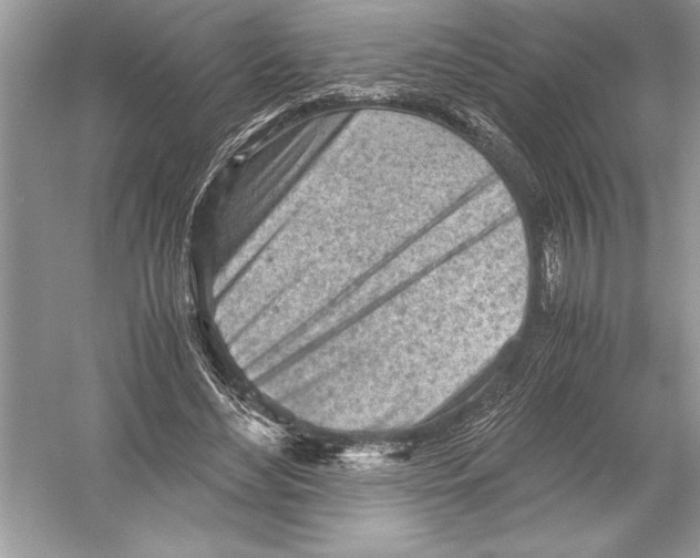 X0000051910492200507222112