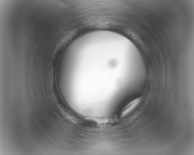 X0000051910493200507222112