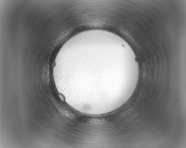 X0000051910494200507222112